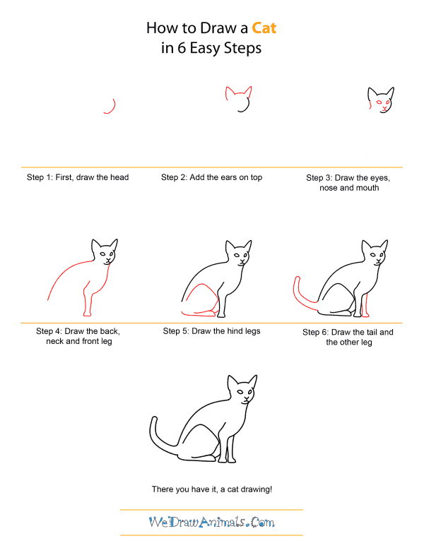 cat drawing easy step by step