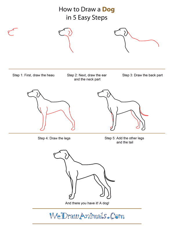 Featured image of post How To Draw A Dog For Kids Step By Step : In this article are clear instructions and helpful diagrams to guide your drawing of a dog.