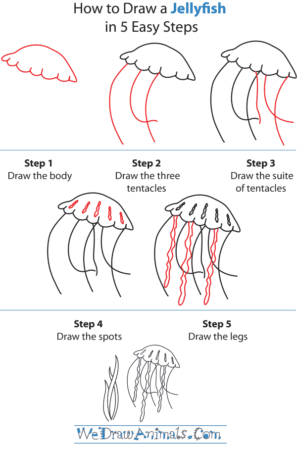 10+ Easy Drawings Jellyfish Images basnami