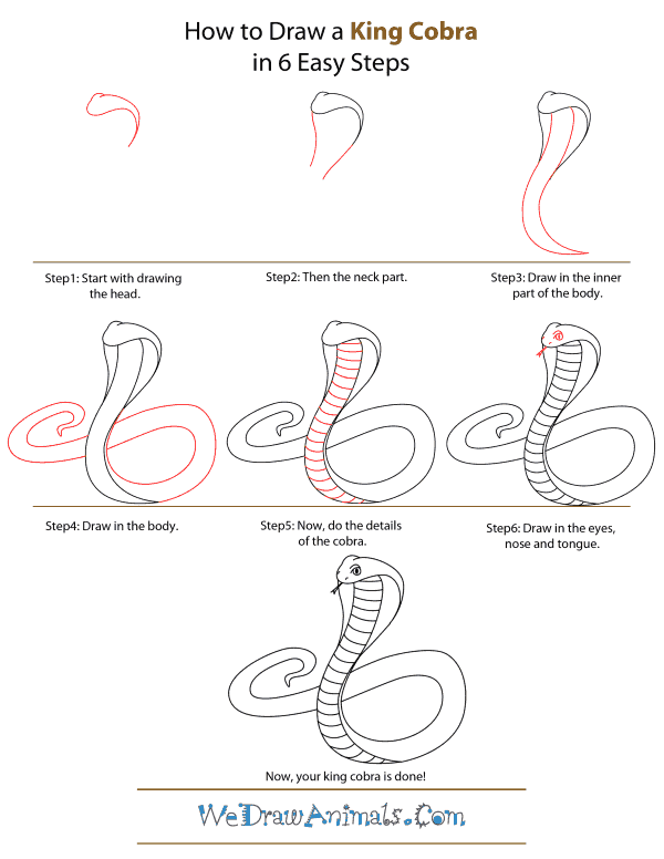 king cobra drawings