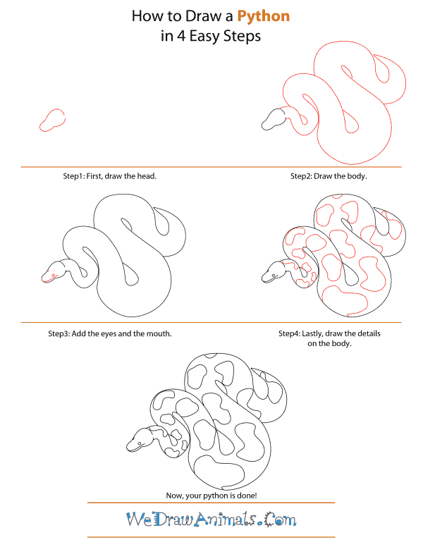How to Draw a Python