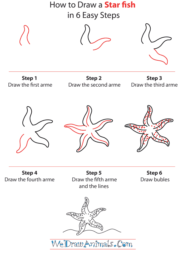 How To Draw A Starfish