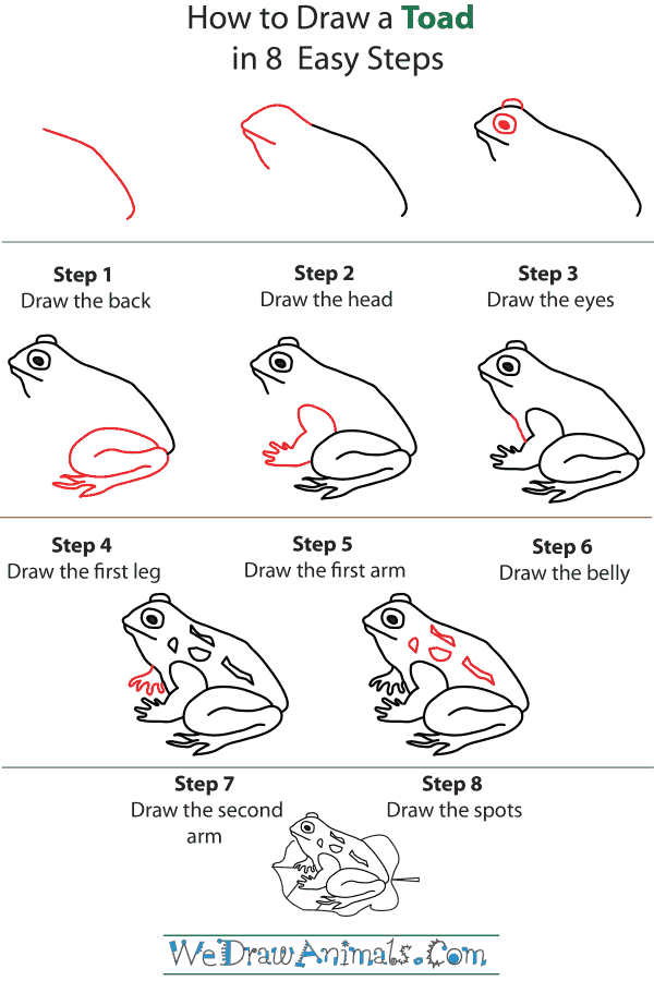how to draw a toad step by step