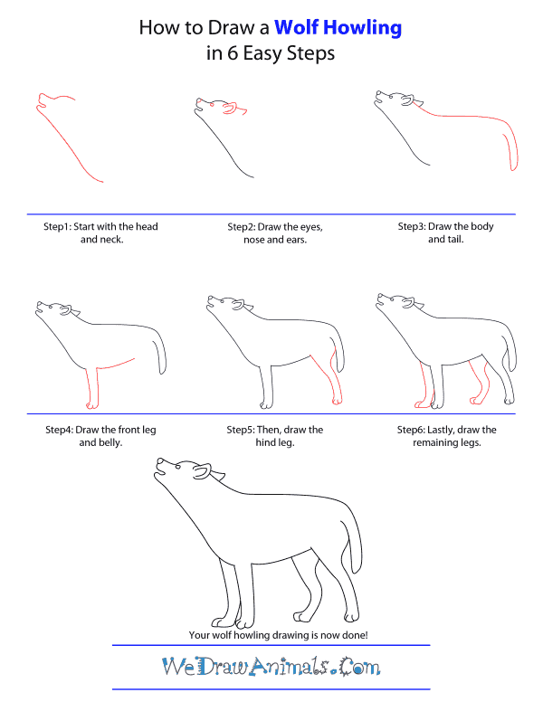 how to draw a wolf howling step by step easy