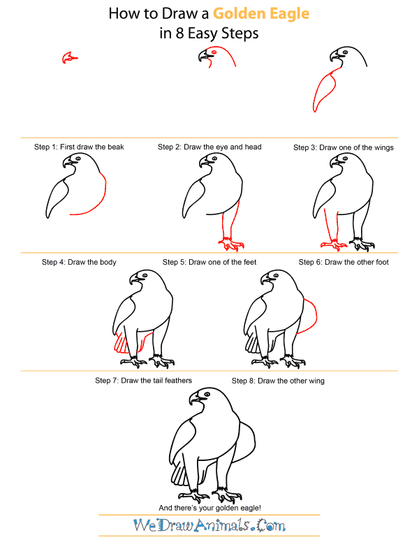 how to draw the mexican flag eagle step by step