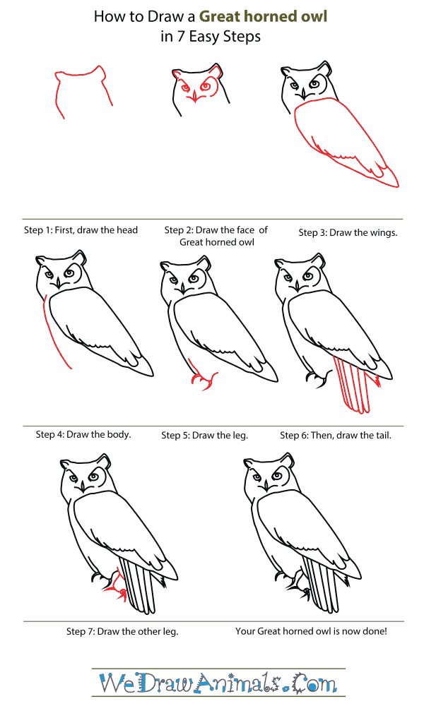how to draw a owl step by step for kids