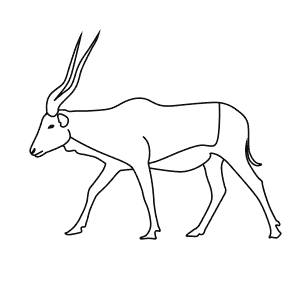 How To Draw an Addax - Step-By-Step Tutorial