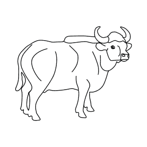 How To Draw a Gaur - Step-By-Step Tutorial