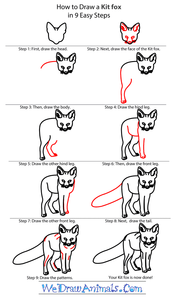 How to Draw a Kit Fox