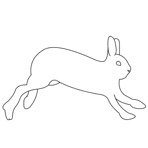 How To Draw a Snowshoe Hare - Step-By-Step Tutorial