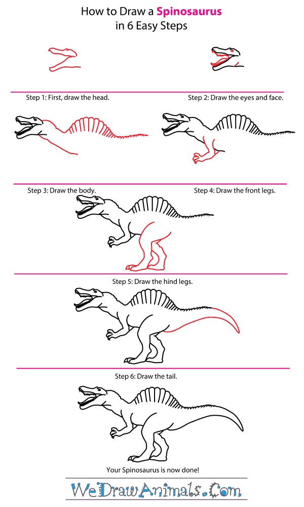 How to Draw a Spinosaurus