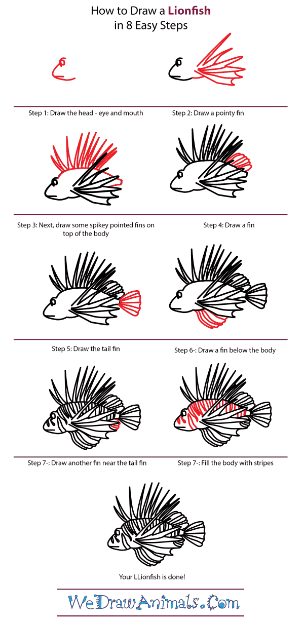 How To Draw A Lionfish