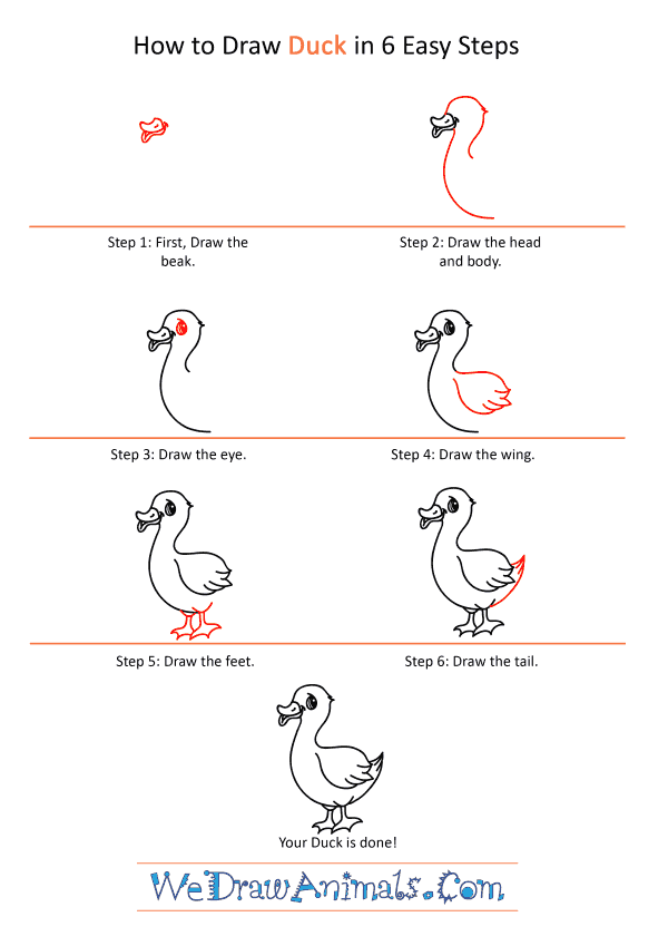 How to Draw a Duck - Really Easy Drawing Tutorial