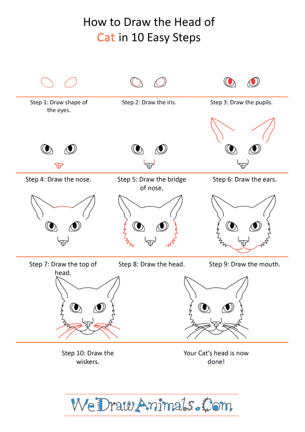 how to draw a cat face easy