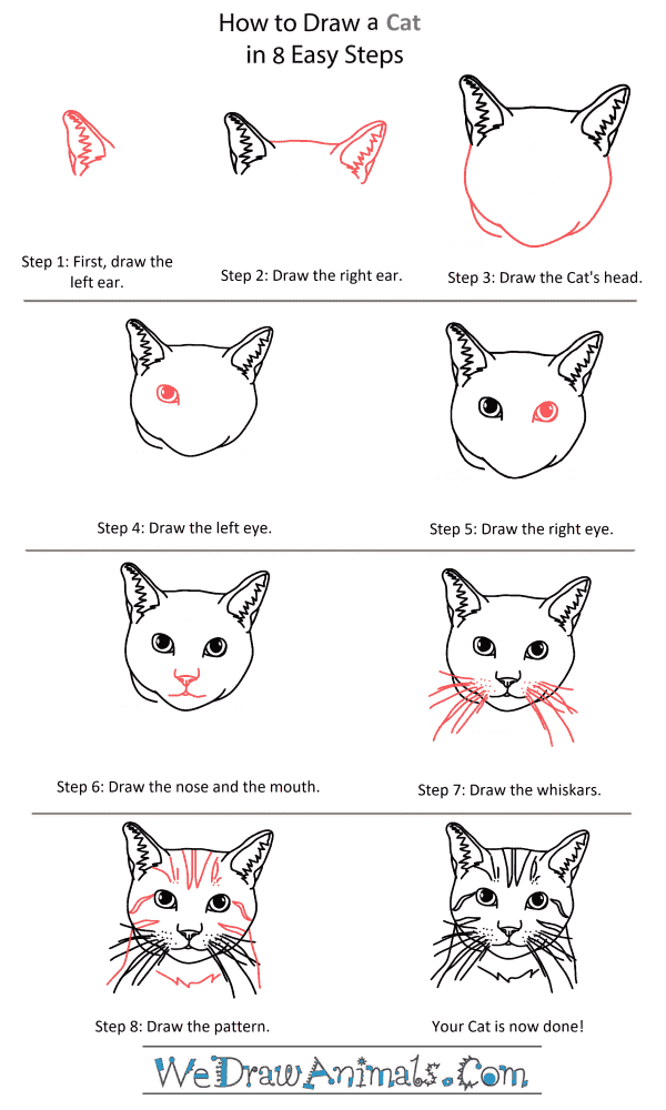 How To Draw A Cat Face Really Easy Drawing Tutorial Drawing Images