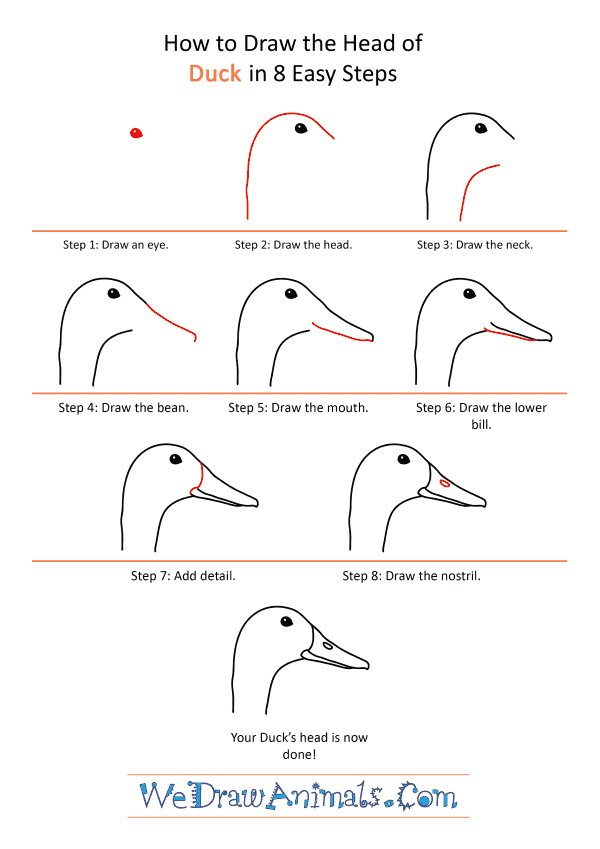 How to Draw a Duck