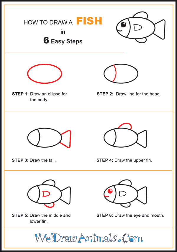 How To Draw A Fish - Step By Step Instructions - Busy Little Kiddies