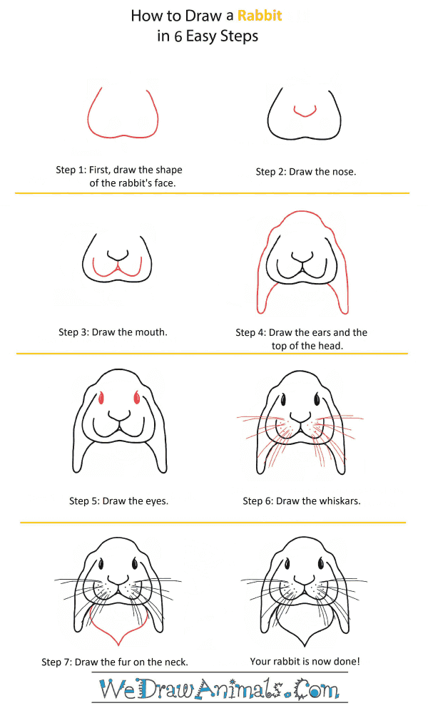 how to draw a realistic bunny step by step