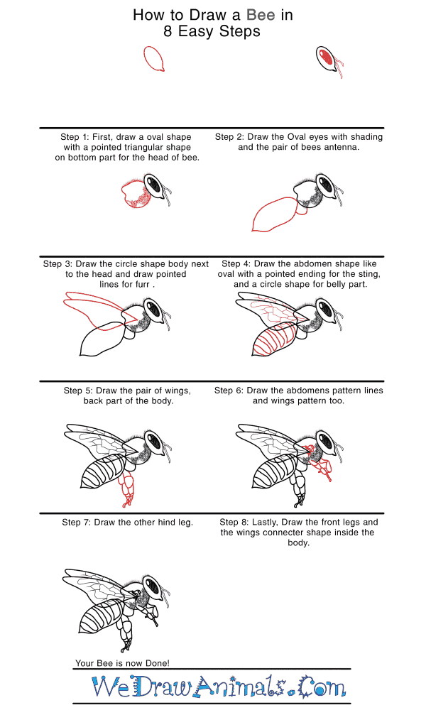 how to draw a bee step by step