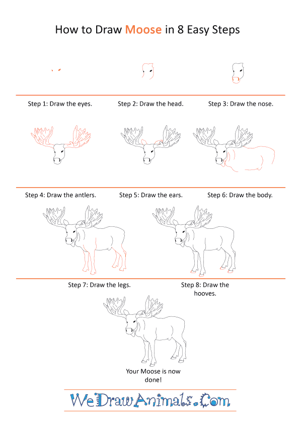 How to Draw a Realistic Moose