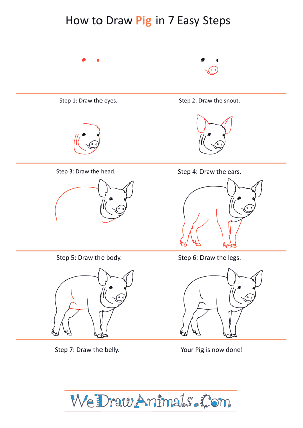 How To Draw Realistic Animals Step By Step Easy Eperka