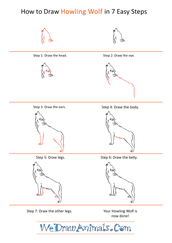 How to Draw a Realistic Wolf Howling