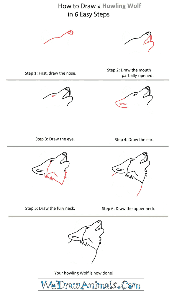 How to Draw a Wolf Howling Head