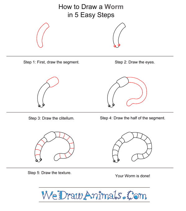 How to Draw Animals Step by Step-Worm Graphic by Creative Dream · Creative  Fabrica