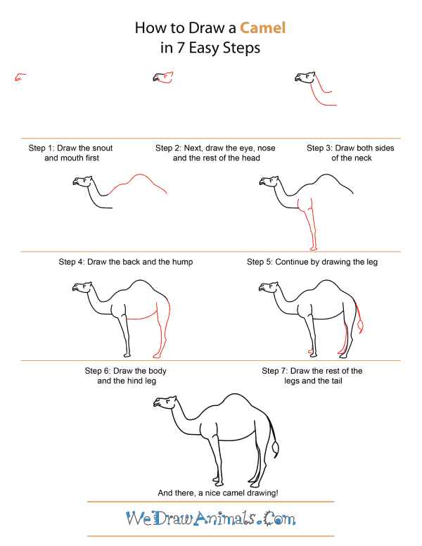 How to Draw A Camel - Quick Step-by-Step Tutorial