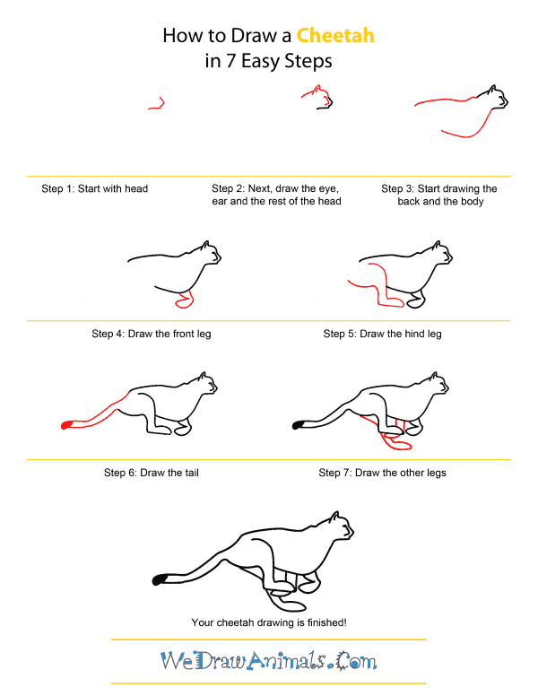 How to Draw A Cheetah - Quick Step-by-Step Tutorial