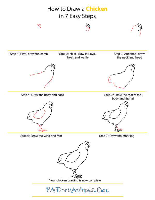 How to Draw A Chicken - Quick Step-by-Step Tutorial