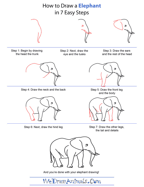How to Draw An Elephant - Quick Step-by-Step Tutorial