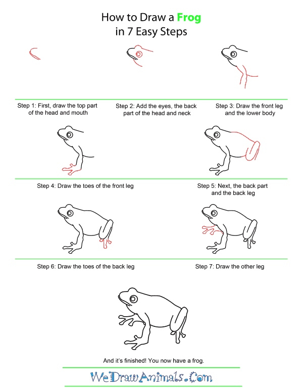 How to Draw A Frog - Quick Step-by-Step Tutorial