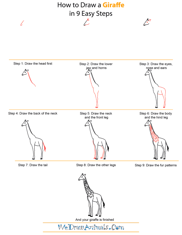 How to Draw A Giraffe - Quick Step-by-Step Tutorial