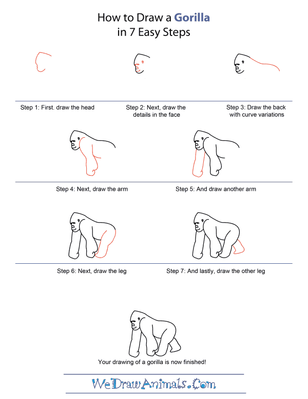 How to Draw A Gorilla - Quick Step-by-Step Tutorial