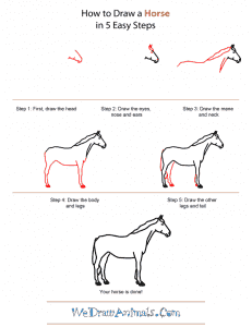 How To Draw A Horse