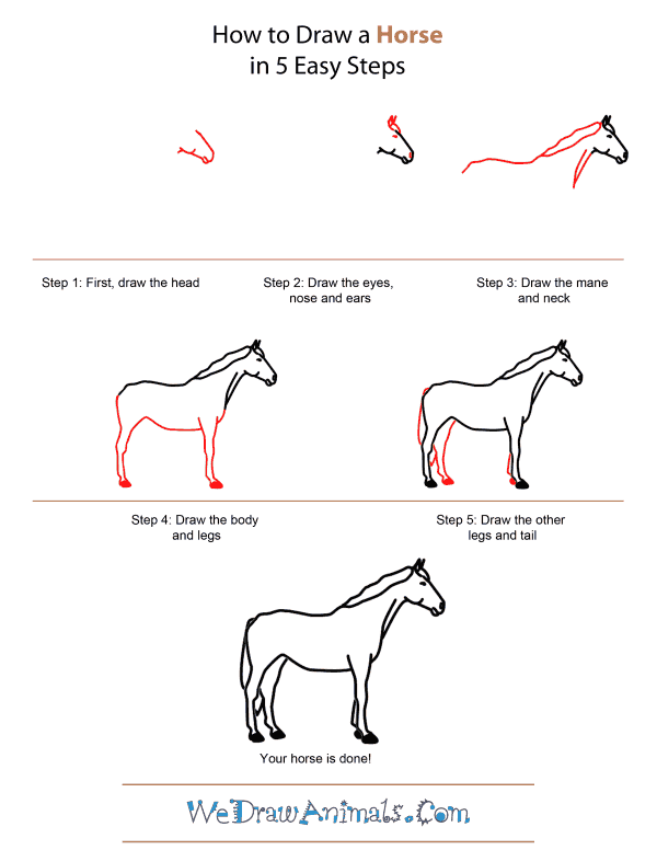 How to Draw A Horse - Quick Step-by-Step Tutorial