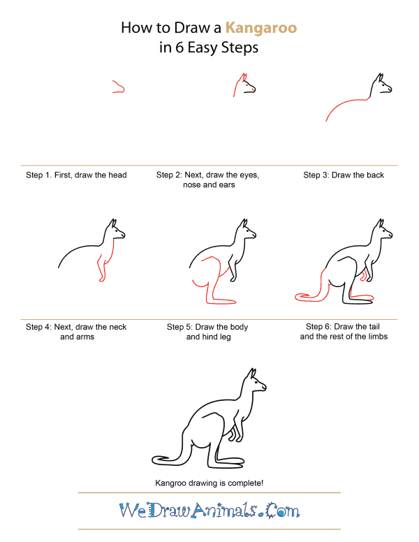 How to Draw A Kangaroo - Quick Step-by-Step Tutorial