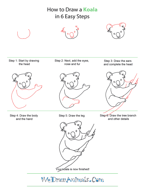 How to Draw A Koala - Quick Step-by-Step Tutorial