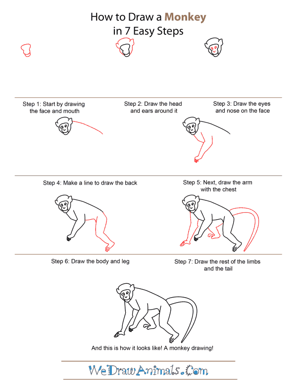 How to Draw A Monkey - Quick Step-by-Step Tutorial