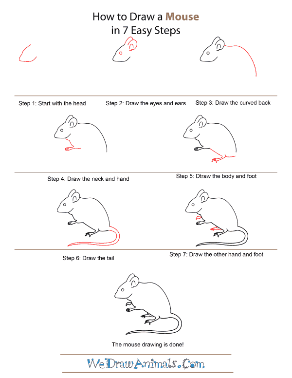 How to Draw A Mouse - Quick Step-by-Step Tutorial