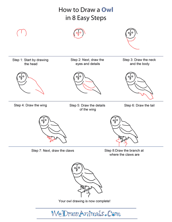How to Draw An Owl - Quick Step-by-Step Tutorial
