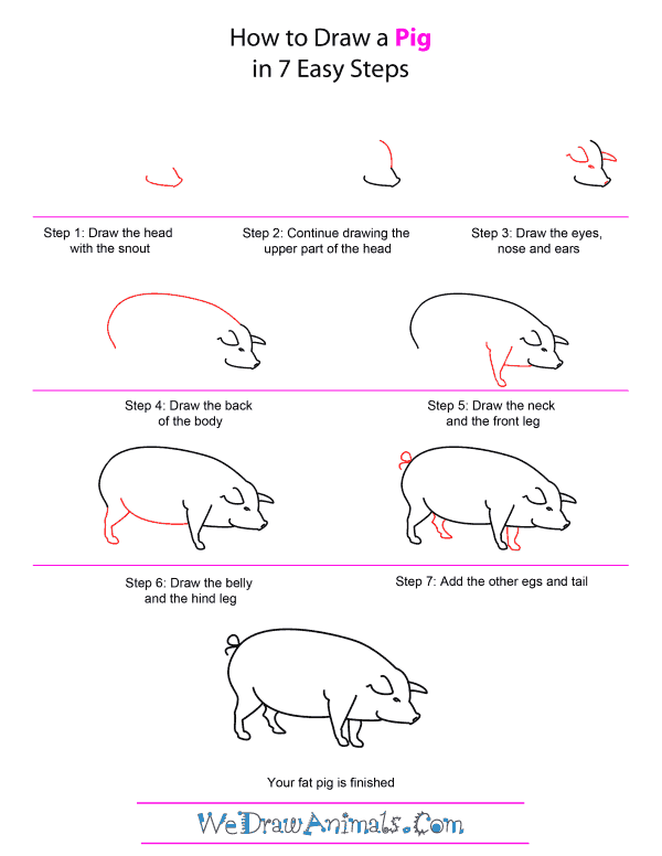 How to Draw A Pig - Quick Step-by-Step Tutorial