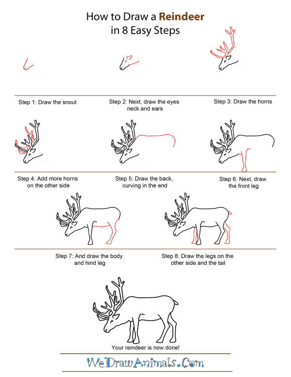 How to Draw A Reindeer - Quick Step-by-Step Tutorial
