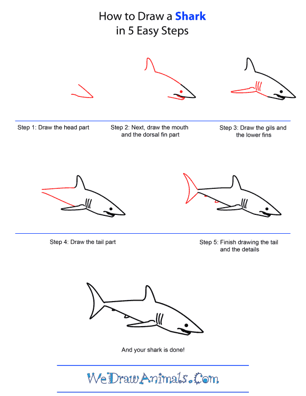 How to Draw A Shark - Quick Step-by-Step Tutorial