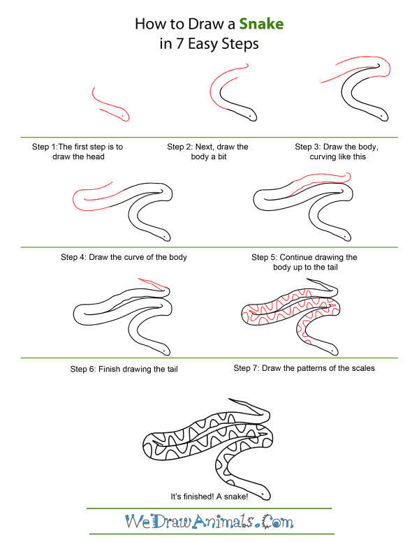 How to Draw A Snake - Quick Step-by-Step Tutorial