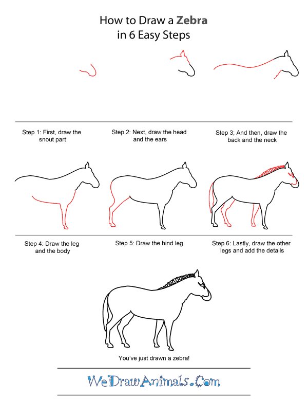 How to Draw A Zebra - Quick Step-by-Step Tutorial
