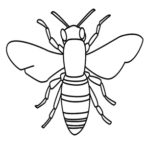 How to Draw A Bee - Step-by-Step Tutorial