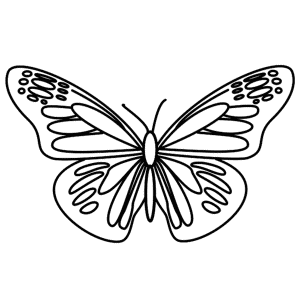 How to Draw A Butterfly - Step-by-Step Tutorial