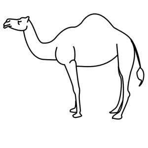 How to Draw A Camel - Step-by-Step Tutorial